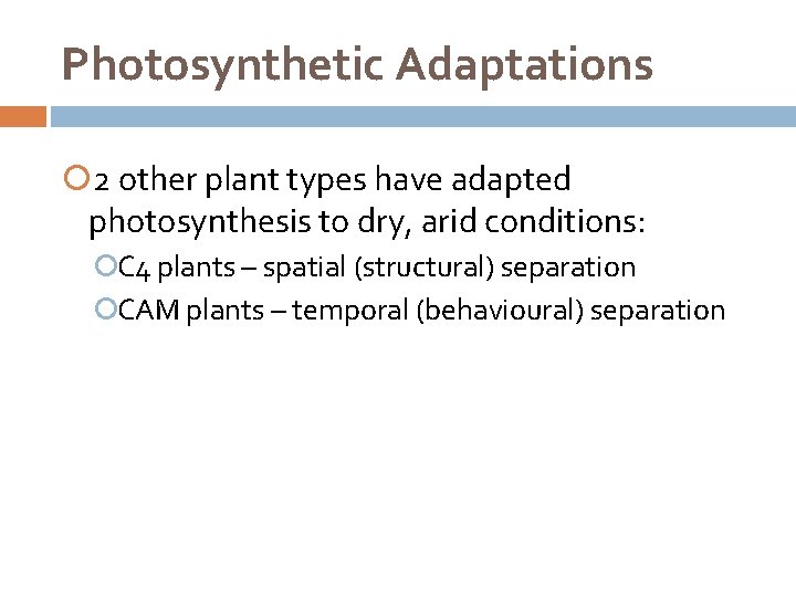 Photosynthetic Adaptations 2 other plant types have adapted photosynthesis to dry, arid conditions: C