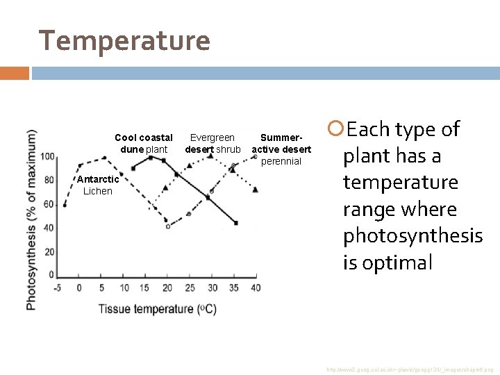 Temperature Cool coastal dune plant Antarctic Lichen Evergreen desert shrub Summeractive desert perennial Each