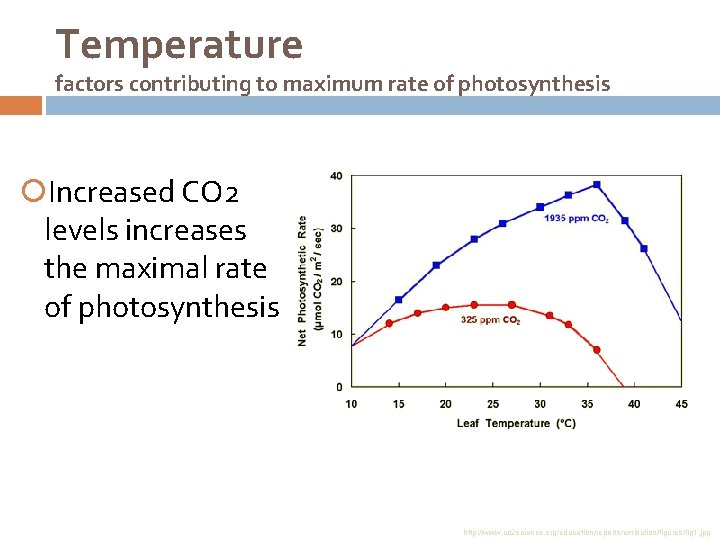 Temperature factors contributing to maximum rate of photosynthesis Increased CO 2 levels increases the