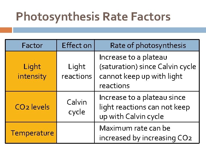 Photosynthesis Rate Factors Factor Effect on Rate of photosynthesis Increase to a plateau (saturation)