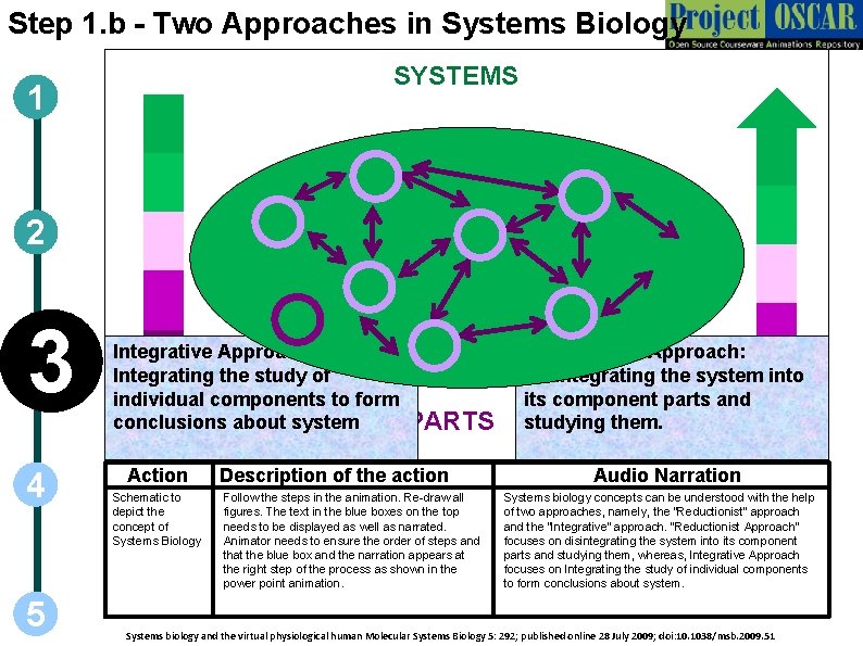 Bio System Example Systems Biology The examination of a biological entity