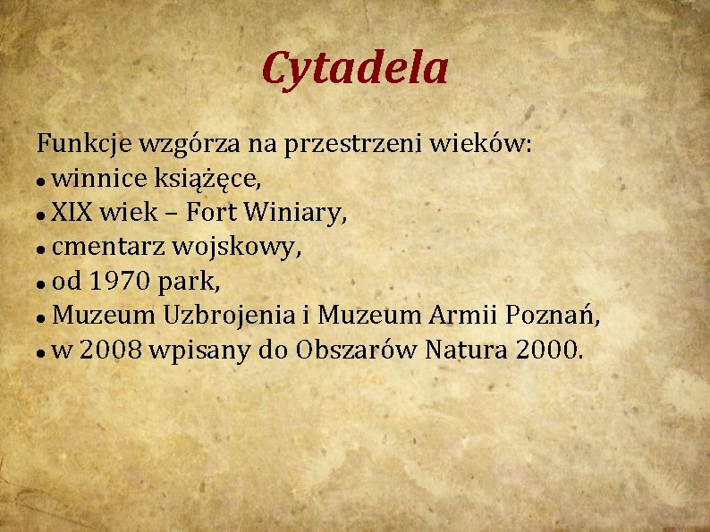 Cytadela Funkcje wzgórza na przestrzeni wieków: winnice książęce, XIX wiek – Fort Winiary, cmentarz