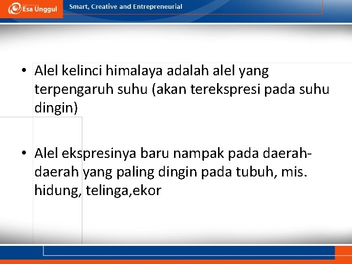  • Alel kelinci himalaya adalah alel yang terpengaruh suhu (akan terekspresi pada suhu