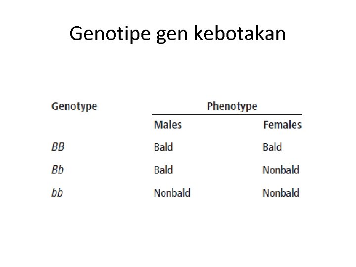 Genotipe gen kebotakan 