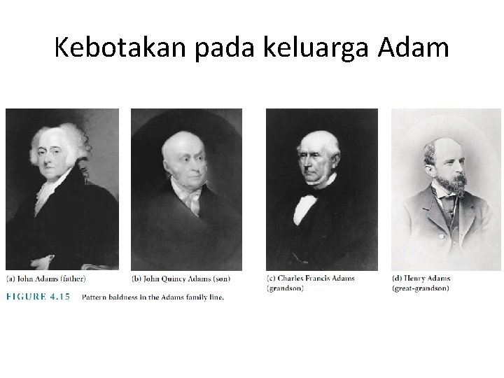 Kebotakan pada keluarga Adam 