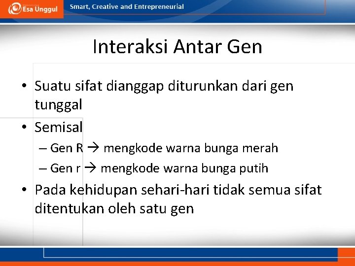 Interaksi Antar Gen • Suatu sifat dianggap diturunkan dari gen tunggal • Semisal –