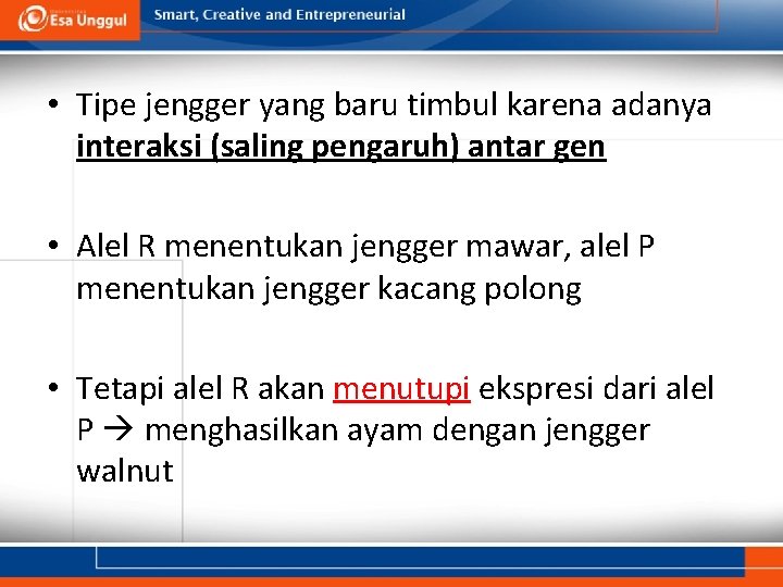  • Tipe jengger yang baru timbul karena adanya interaksi (saling pengaruh) antar gen