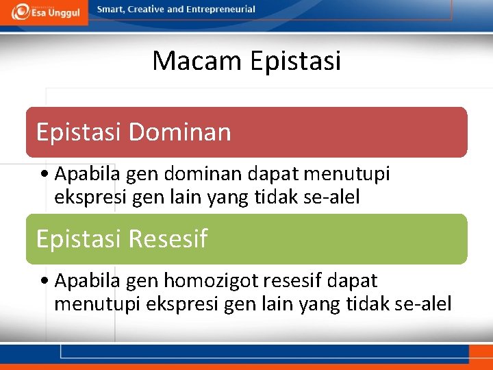 Macam Epistasi Dominan • Apabila gen dominan dapat menutupi ekspresi gen lain yang tidak