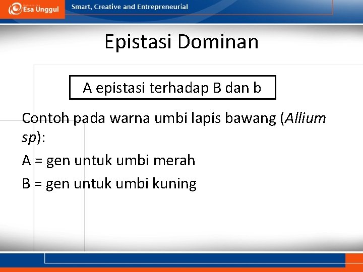 Epistasi Dominan A epistasi terhadap B dan b Contoh pada warna umbi lapis bawang