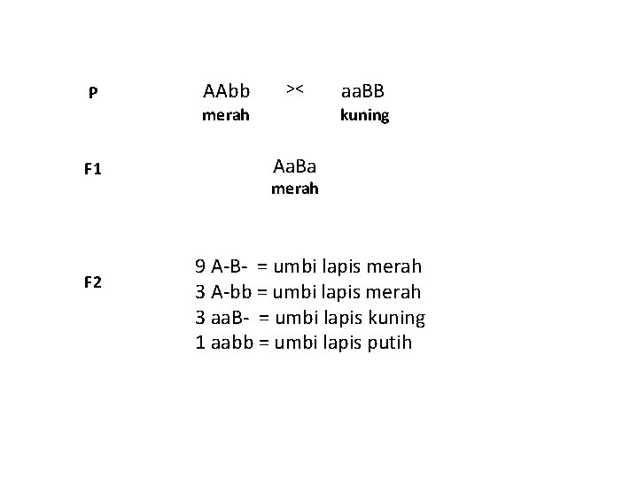 P AAbb >< merah F 1 F 2 aa. BB kuning Aa. Ba merah