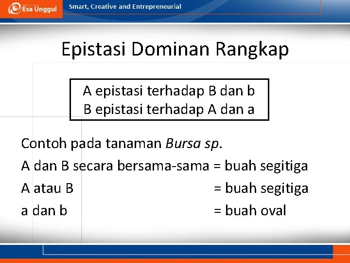 Epistasi Dominan Rangkap A epistasi terhadap B dan b B epistasi terhadap A dan