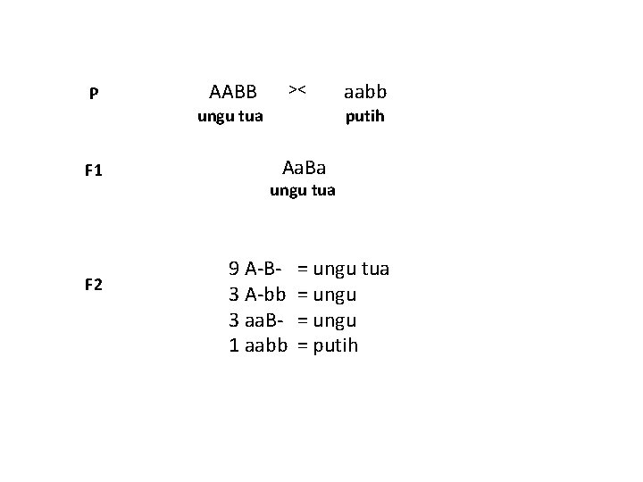 P AABB >< ungu tua F 1 F 2 aabb putih Aa. Ba ungu