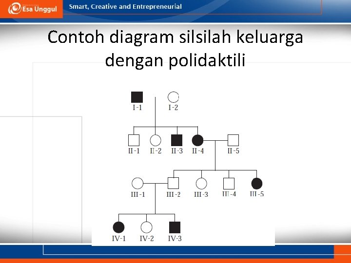 Contoh diagram silsilah keluarga dengan polidaktili 