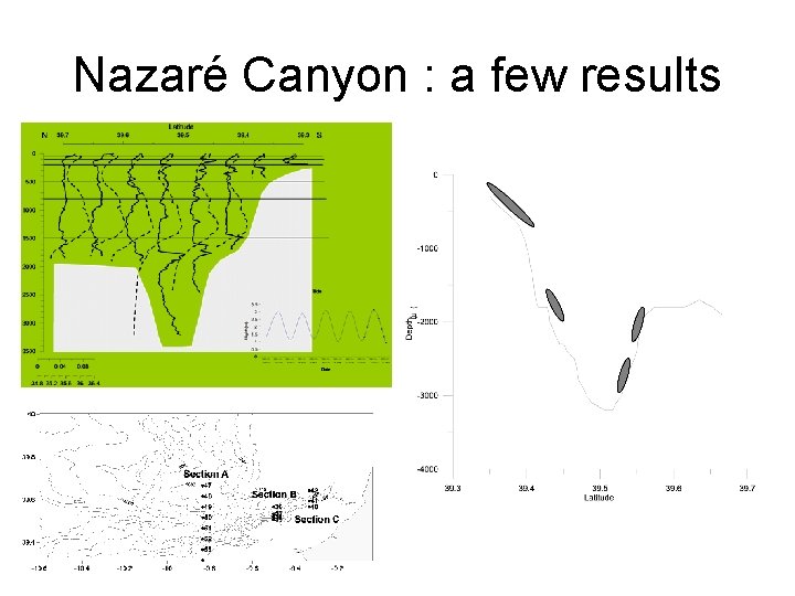 Nazaré Canyon : a few results 