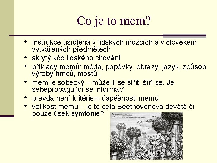 Co je to mem? • instrukce usídlená v lidských mozcích a v člověkem •