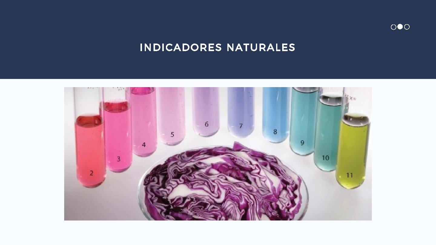 INDICADORES NATURALES 