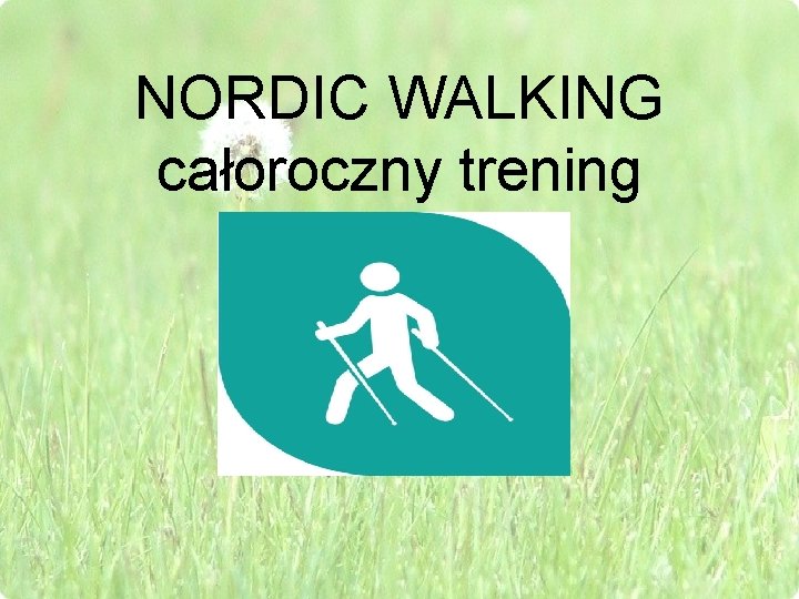 NORDIC WALKING całoroczny trening 