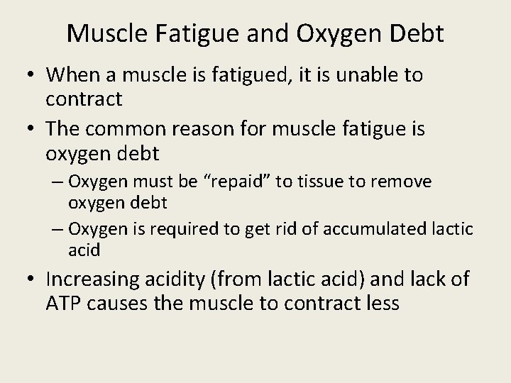 Muscle Fatigue and Oxygen Debt • When a muscle is fatigued, it is unable