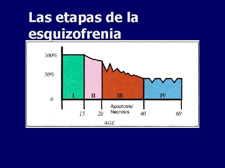 Las etapas de la esquizofrenia 