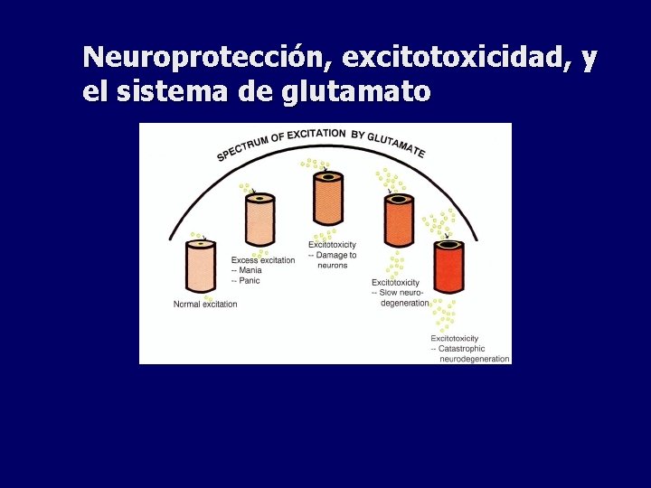 Neuroprotección, excitotoxicidad, y el sistema de glutamato 