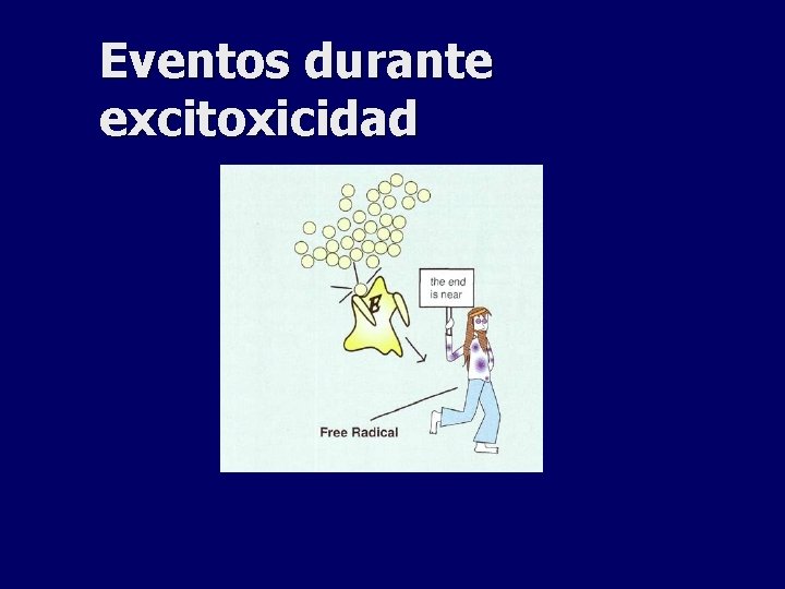 Eventos durante excitoxicidad 
