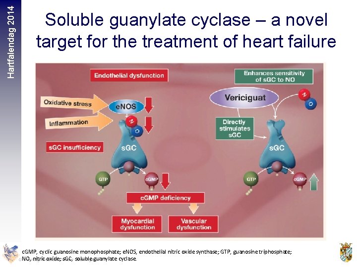 Hartfalendag 2014 Soluble guanylate cyclase – a novel target for the treatment of heart