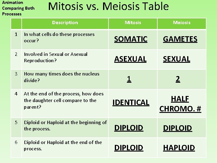 Animation Comparing Both Processes Mitosis vs. Meiosis Table Description Mitosis Meiosis 1 In what