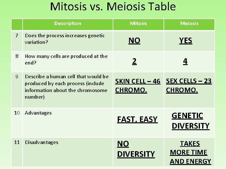 Mitosis vs. Meiosis Table Description Mitosis Meiosis 7 Does the process increases genetic variation?