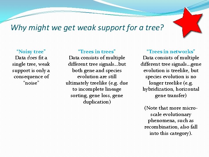 Why might we get weak support for a tree? “Noisy tree” Data does fit