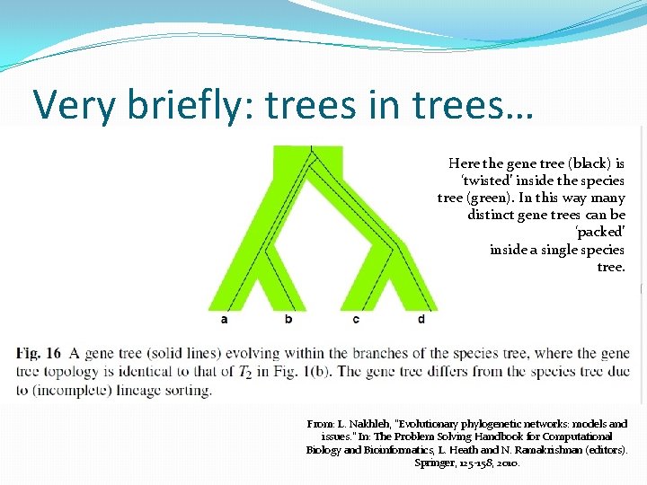 Very briefly: trees in trees… Here the gene tree (black) is ‘twisted’ inside the