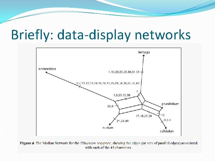 Briefly: data-display networks 