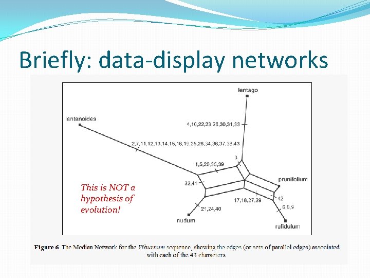 Briefly: data-display networks This is NOT a hypothesis of evolution! 