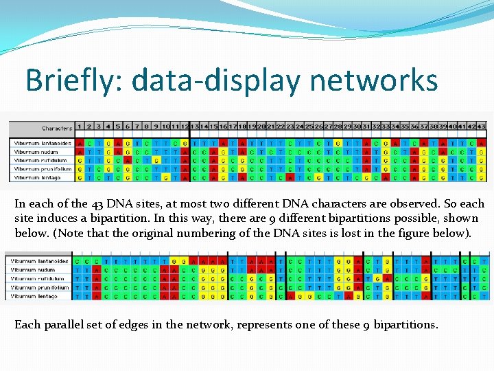 Briefly: data-display networks In each of the 43 DNA sites, at most two different