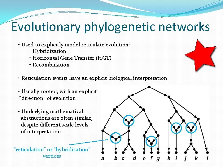 Evolutionary phylogenetic networks • Used to explicitly model reticulate evolution: • Hybridization • Horizontal
