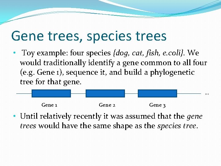 Gene trees, species trees • Toy example: four species {dog, cat, fish, e. coli}.