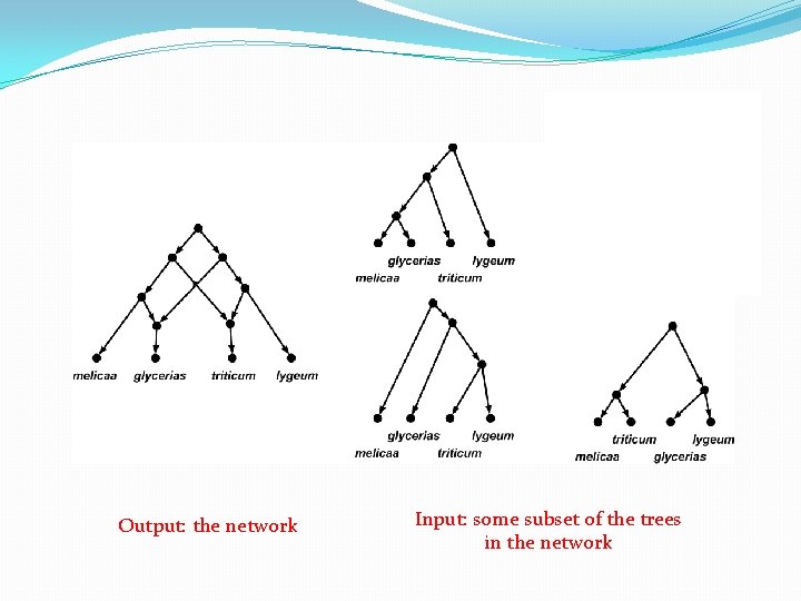 Output: the network Input: some subset of the trees in the network 