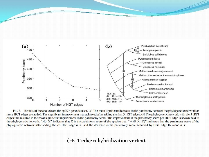 (HGT edge ≈ hybridization vertex). 