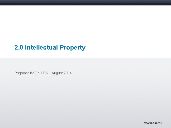 2. 0 Intellectual Property Prepared by Do. D ESI | August 2014 