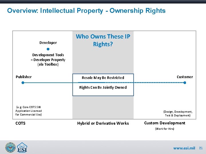 Overview: Intellectual Property - Ownership Rights Developer Who Owns These IP Rights? Development Tools