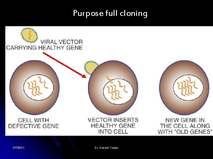 Purpose full cloning 3/7/2021 Dr. Hariom Yadav 