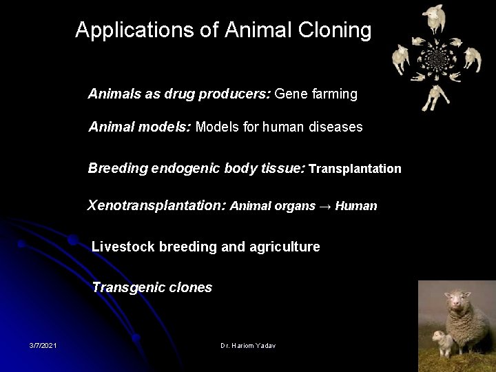 Applications of Animal Cloning Animals as drug producers: Gene farming Animal models: Models for