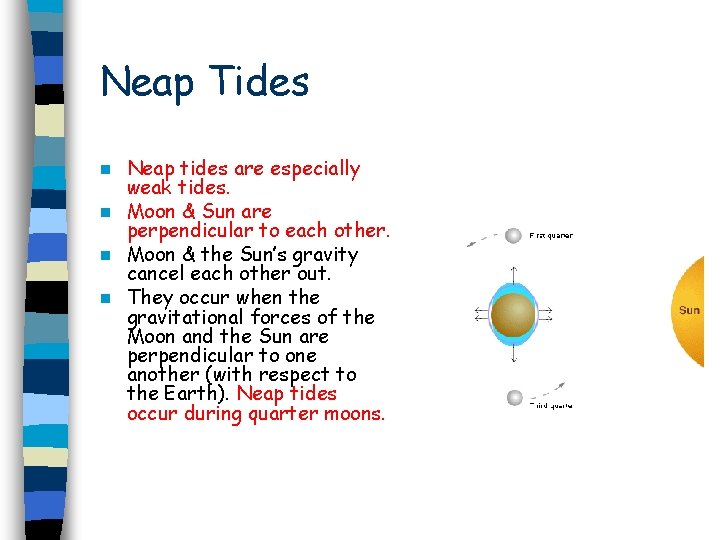 Neap Tides Neap tides are especially weak tides. n Moon & Sun are perpendicular