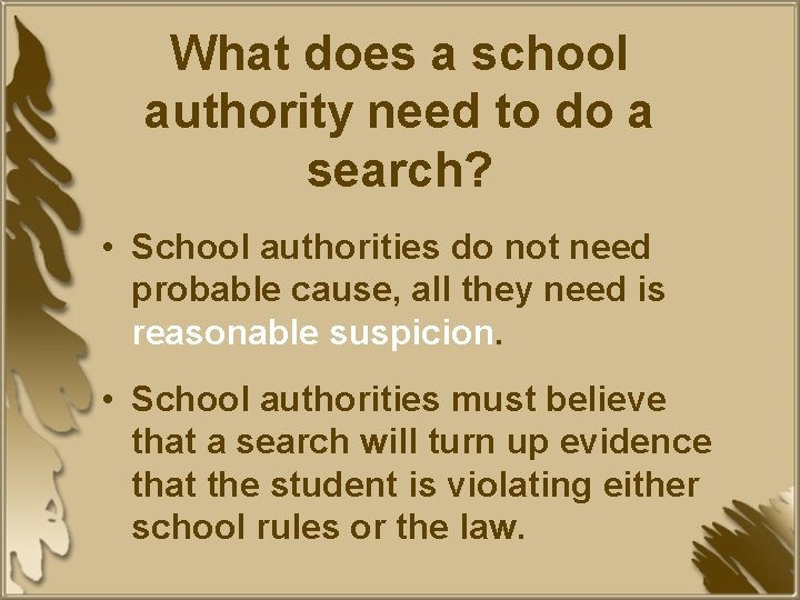 What does a school authority need to do a search? • School authorities do