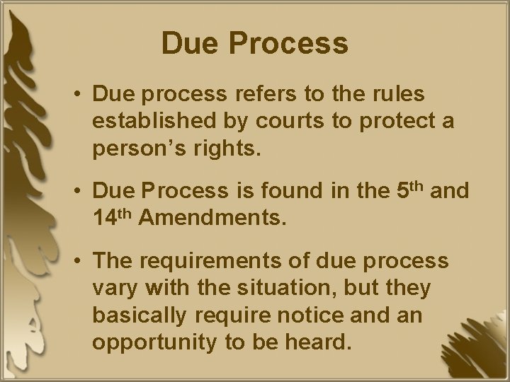 Due Process • Due process refers to the rules established by courts to protect