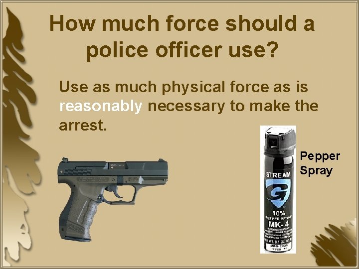 How much force should a police officer use? Use as much physical force as