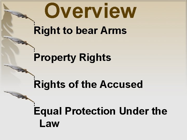 Overview Right to bear Arms Property Rights of the Accused Equal Protection Under the