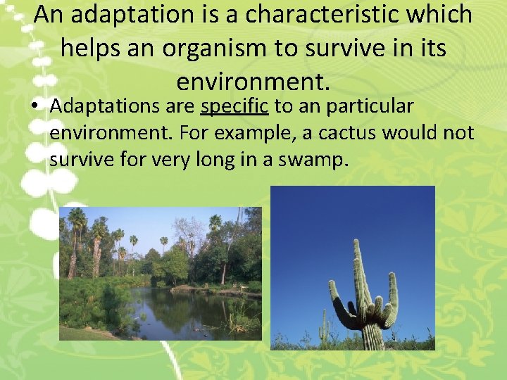 An adaptation is a characteristic which helps an organism to survive in its environment.