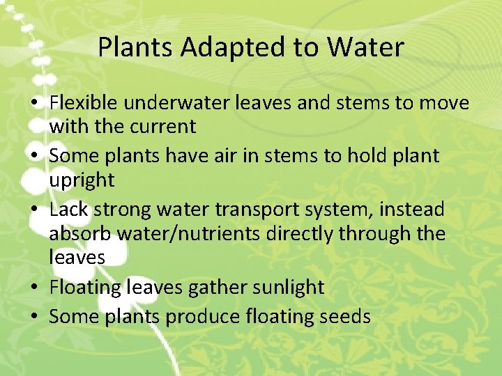 Plants Adapted to Water • Flexible underwater leaves and stems to move with the