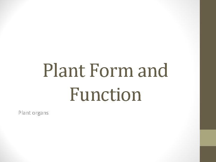 Plant Form and Function Plant organs 