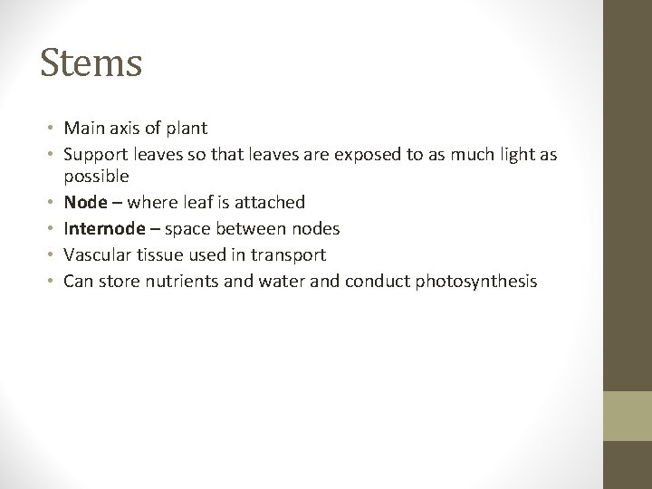 Stems • Main axis of plant • Support leaves so that leaves are exposed